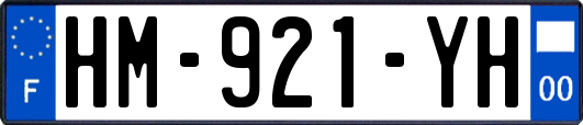 HM-921-YH