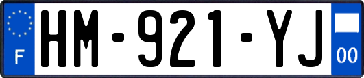 HM-921-YJ