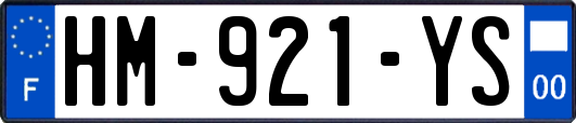 HM-921-YS