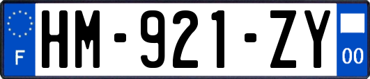 HM-921-ZY