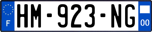 HM-923-NG