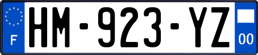 HM-923-YZ