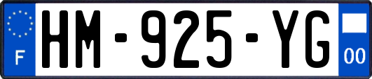 HM-925-YG