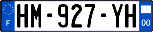 HM-927-YH