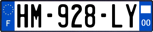 HM-928-LY