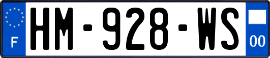 HM-928-WS