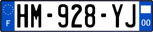 HM-928-YJ