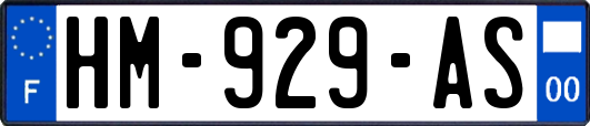 HM-929-AS