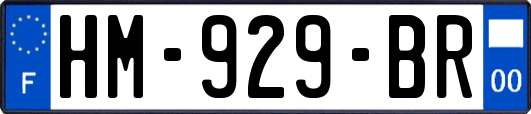 HM-929-BR