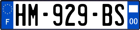 HM-929-BS
