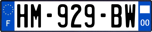HM-929-BW