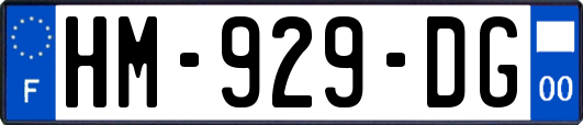 HM-929-DG