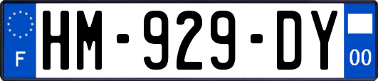 HM-929-DY