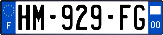 HM-929-FG