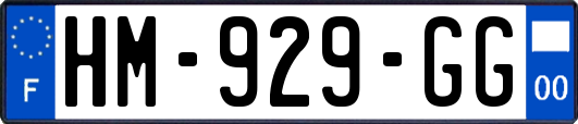 HM-929-GG