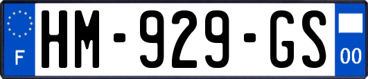 HM-929-GS