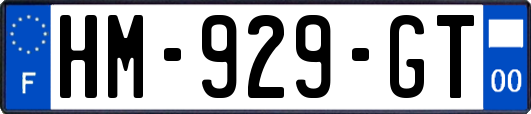 HM-929-GT