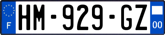 HM-929-GZ