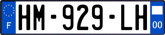 HM-929-LH