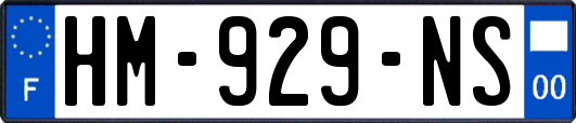 HM-929-NS