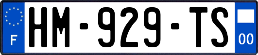 HM-929-TS