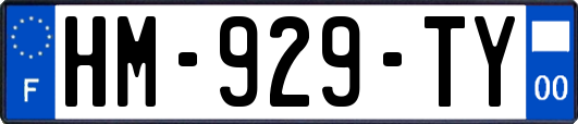 HM-929-TY