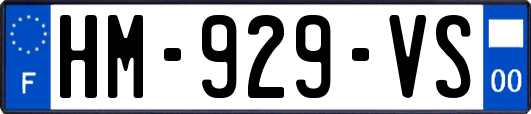 HM-929-VS