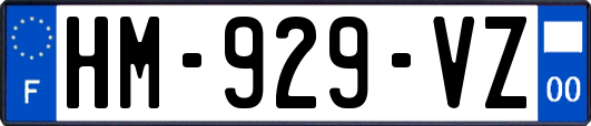 HM-929-VZ