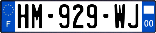 HM-929-WJ