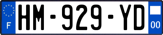HM-929-YD