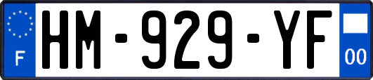 HM-929-YF