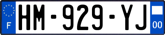 HM-929-YJ