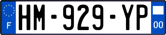 HM-929-YP