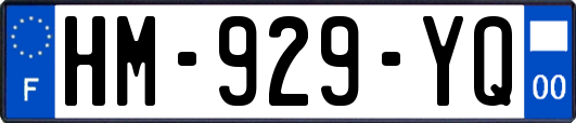 HM-929-YQ