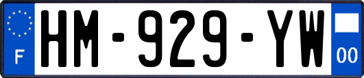 HM-929-YW