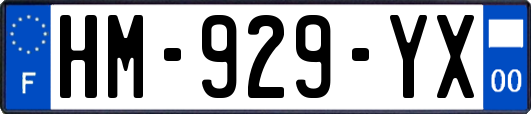 HM-929-YX