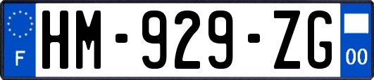 HM-929-ZG