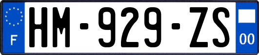 HM-929-ZS