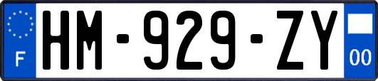 HM-929-ZY