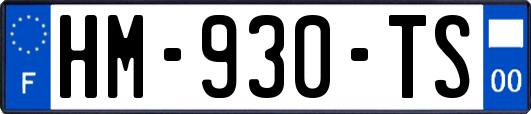 HM-930-TS