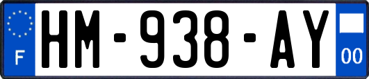 HM-938-AY