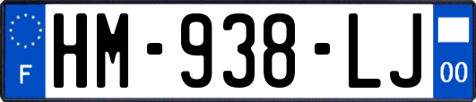 HM-938-LJ