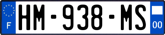 HM-938-MS