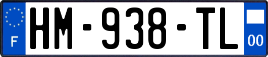 HM-938-TL
