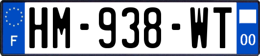 HM-938-WT