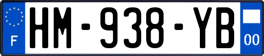 HM-938-YB