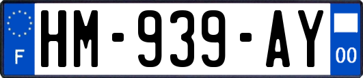 HM-939-AY