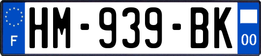 HM-939-BK