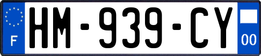 HM-939-CY