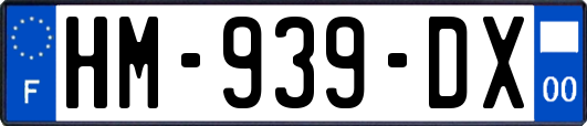 HM-939-DX